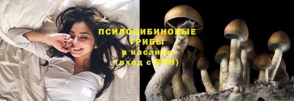 кристаллы Богородск