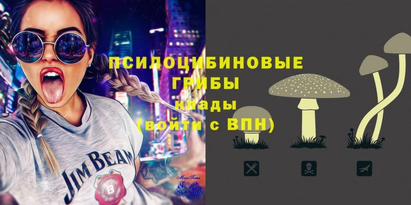 меф Богородицк