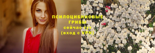 кристаллы Богородск